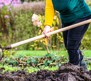 How to compost at home: Rich soil for gardening